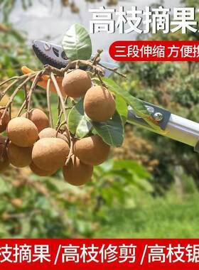 多功能摘果摘器伸杆果果树缩高枝高Uca2o6JS空剪枝剪刀摘柿子枇杷