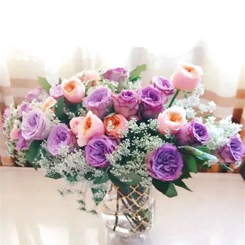 云南单花鲜花混搭鲜花每周一花包月速递一共四束套餐全国配送包邮