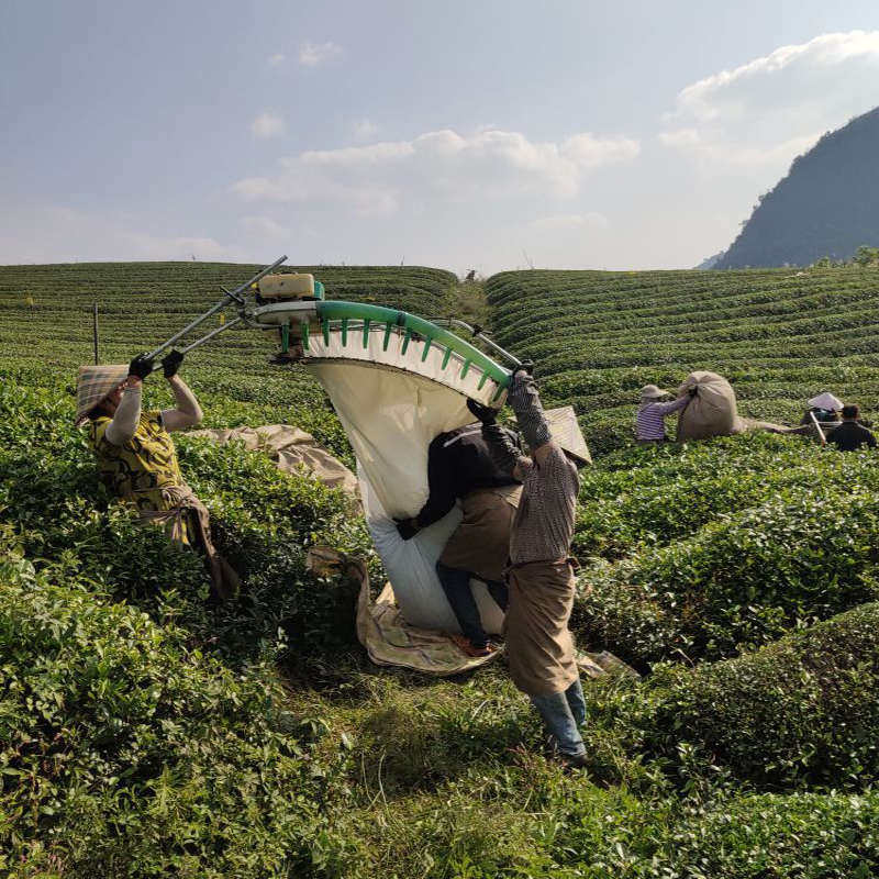 采茶机专用袋采茶机机袋采茶口袋机叶双人单人袋子布袋电动集采茶