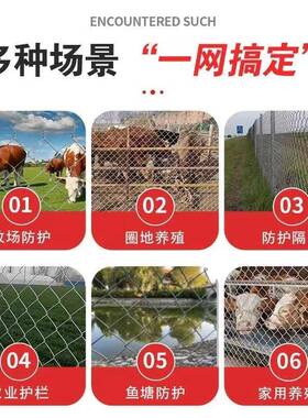 圈殖勾花网宠丝NEA养物笼子菱形镀锌钢地网公路铁路动物园围栏护