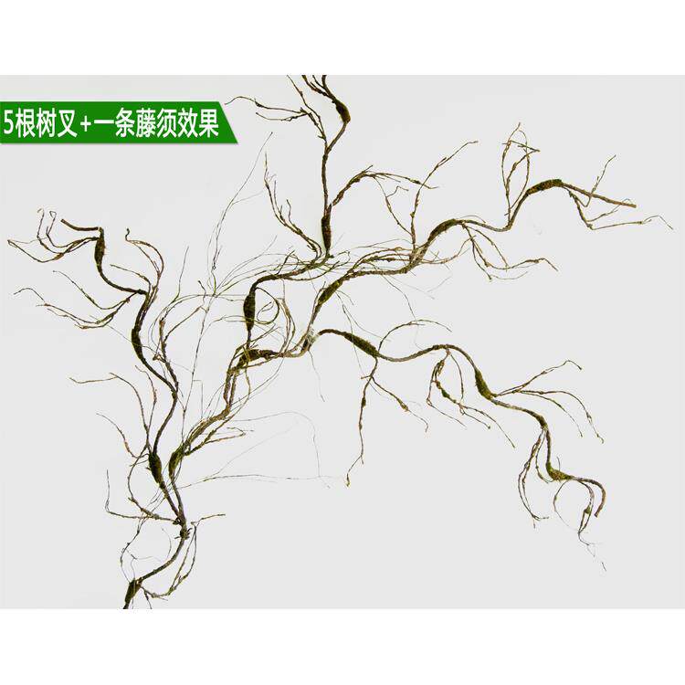 仿弯AZ-树藤真藤条树枝藤枯树挡藤装饰曲树杈植物绿植墙壁水管道