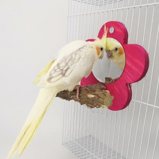鸟用镜子牡丹鹦鹉玩具站架鹦鹉镜子花椒木站架鹦鹉玩具鸟笼装饰