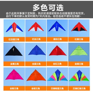 潍坊王侉子风筝伞布碳杆专业大型成人玩家微风风筝