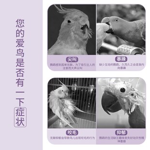 鹦鹉吊球玩具牡丹虎皮玄凤啃咬益智解闷玩具铁球啃咬可悬挂鸟笼配