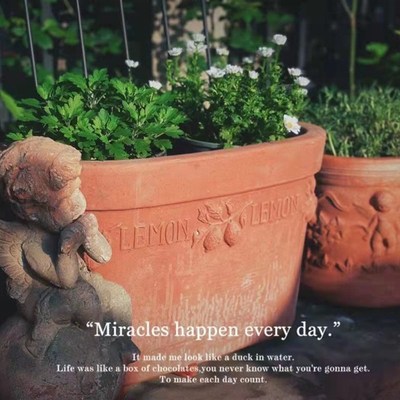 爱上花园粗制陶盆粗陶花盆器陶缸园艺阳台露台透气花朵天使环绕