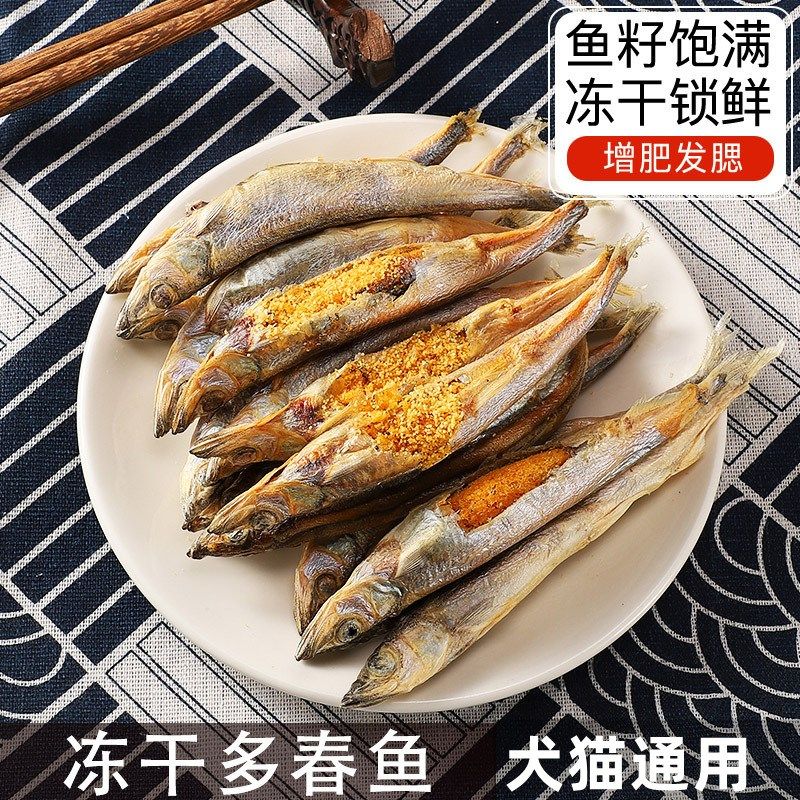 多春鱼冻干狗零食小鱼干营养增肥发腮补钙满籽猫咪零食幼猫粮伴侣,宠物/宠物食品及用品,狗冻干零食,淘宝优惠券,粉丝福利购,淘宝优惠卷