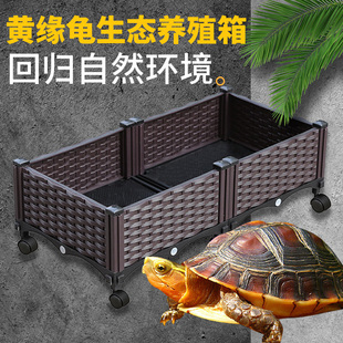 黄缘龟专用缸安缘台缘闭壳乌龟生态养殖箱半水龟饲养环境植物造景