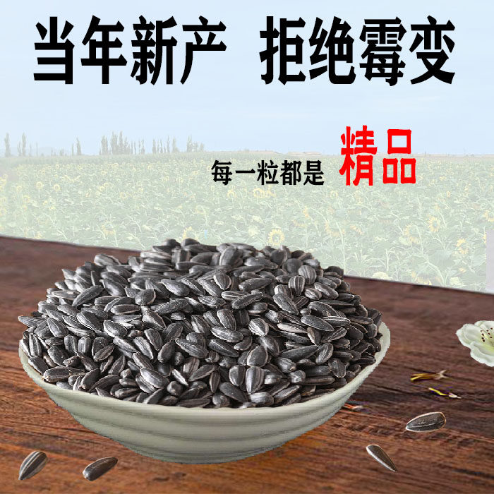 当年油葵花籽向日葵籽牡丹鹦鹉鸟食仓鼠零食鸽粮玄风小黑瓜子饲料