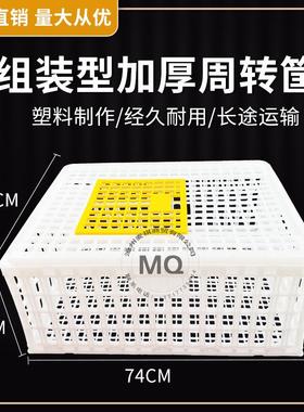 鸡笼周转箱料家用特大FTZ号鸡子鸭鸽兔鸡笼用家禽运输笼筐养殖塑
