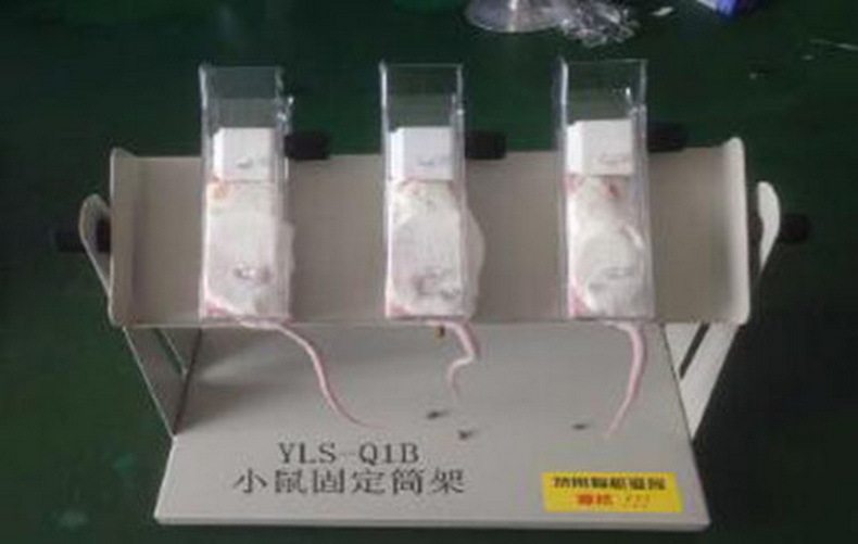 小鼠固定筒架 型号:N82-YLS-Q1B库号:M365501
