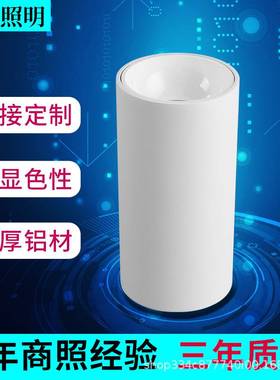 led筒灯3寸5寸6寸8寸led明装筒灯9W20W30W50WCOB筒灯商场压铸筒灯