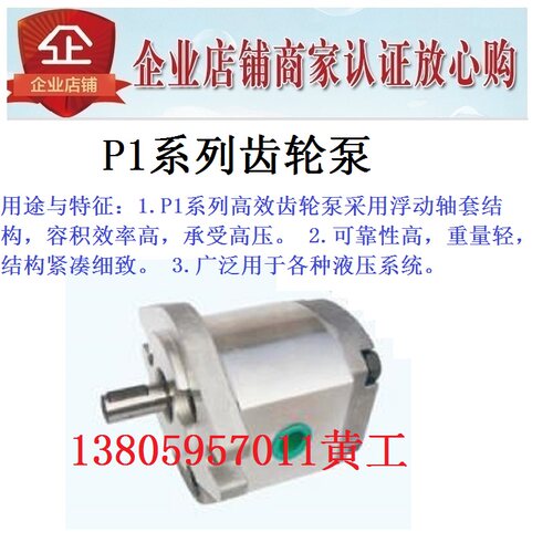 齿轮泵P101RP01G P102RP01G P127RP01G P135RP01G P104RP01G GT