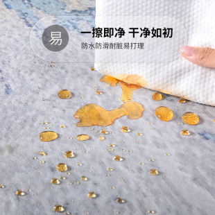 地毯客厅2023新款沙发茶几垫轻奢高级天津免洗可擦家用卧室地毯