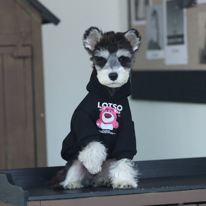 小型犬雪纳瑞泰迪博美秋冬加厚保暖冬装狗狗加绒可爱衣服宠物冬装