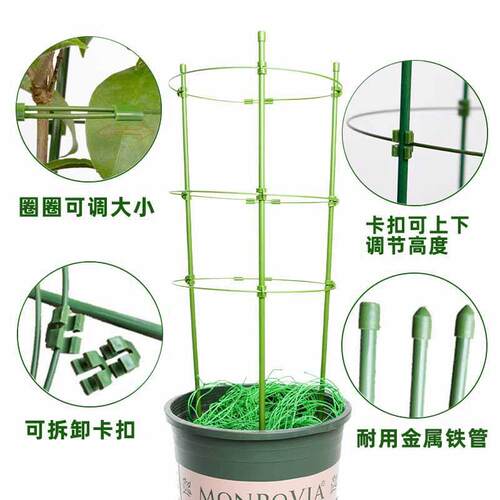 花爬藤支架花盆艺支架柱月园季铁攀线莲球兰绿萝植物H0109173防倒