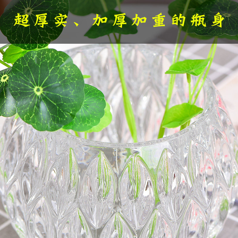 水养创意个性玻璃花盆水培植物玻花瓶