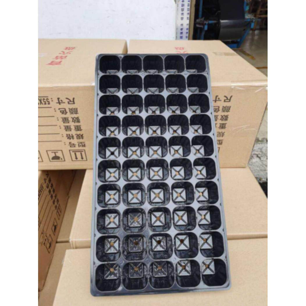 新款桉树苗育苗穴盘大方底十字50孔加厚加深周转盘营养盘桉树育苗