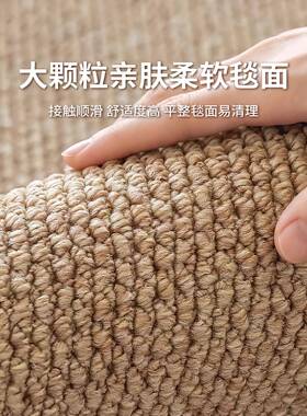 地毯厅202地5新款亚仿麻剑麻原木卧室家用OLZ免擦榻榻米满铺纯色