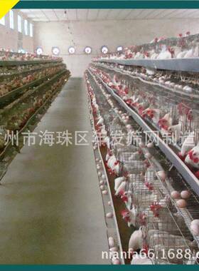 广惠州工厂优价格配件齐全蛋鸡笼三鸡四门镀锌现货笼子TVG养层鸡