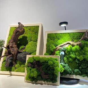 永生苔藓画植物墙假青苔彷真绿苔装饰背景墙壁挂遮丑白发藓装饰画