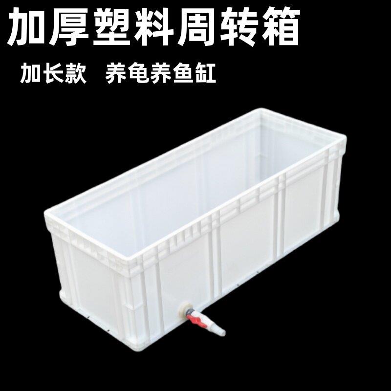 窄长型塑料乌龟箱加长加高生态带排水家用养鱼饲养水槽过滤周转箱