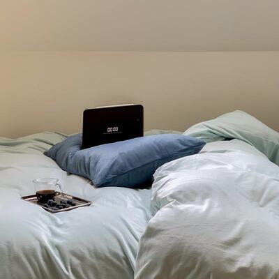 1厂家XHG直销20295新款日式0克克高重天鹅绒混搭纯色四件套