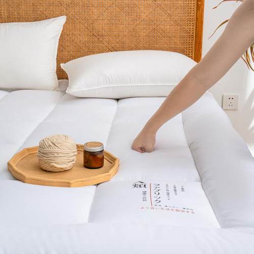 新款简约榻榻米垫酒生梦店风棉花软床垫学宿舍单AKF双人席思床床