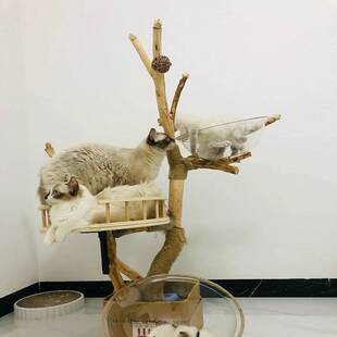 猫爬架实木手工制作原木干树枝大型精品猫窝加大宠物树洞跳台