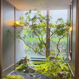 装精仿真马木醉绿植橱窗造景植物室内高GMZ端仿生饰树品大型假树