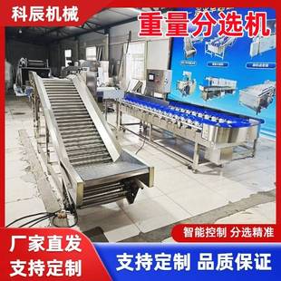 芋头多级别称重分选机 全自动土豆重量分选机 薯类称重分选设备