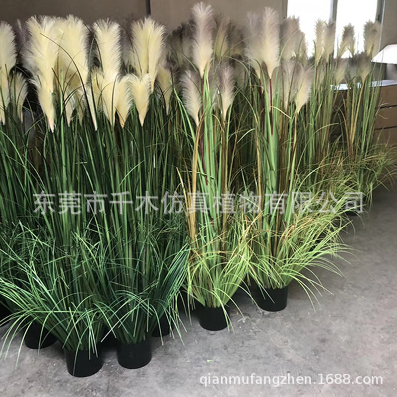 仿真单支芦苇草绿色植物盆栽婚礼造景家居落地摆设假花狗尾草摆件