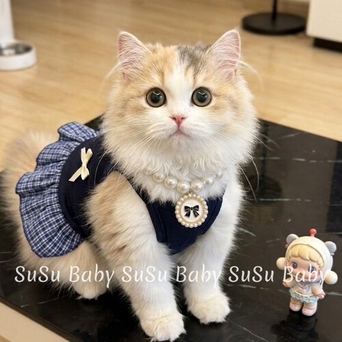 春夏季猫咪薄款连衣裙狗吊带背心