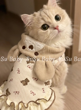 秋冬猫咪衣服日系可爱小熊连帽连衣裙宠物猫狗加绒保暖羊羔绒衣服