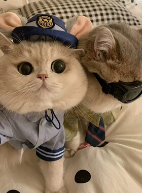 猫咪狗狗兔子警官COS服疯狂动物城宠物冬装可爱装扮拍照道具