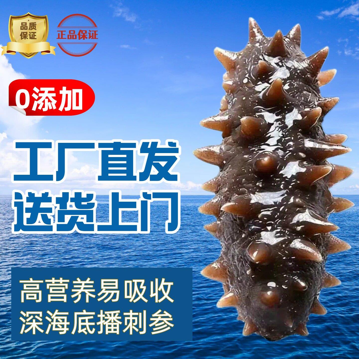 大连即食海参海鲜野生辽刺参鲜活独立包装孕妇送礼礼盒装特价海参