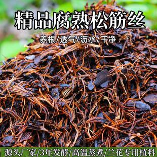 腐熟松塔松筋丝兰花君子兰蝴蝶兰专用松塔壳