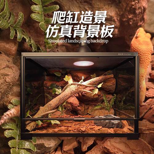 壹柒萌60*45蜥蜴守宫爬宠造景板饲养箱爬虫沙漠雨林生态缸背景板