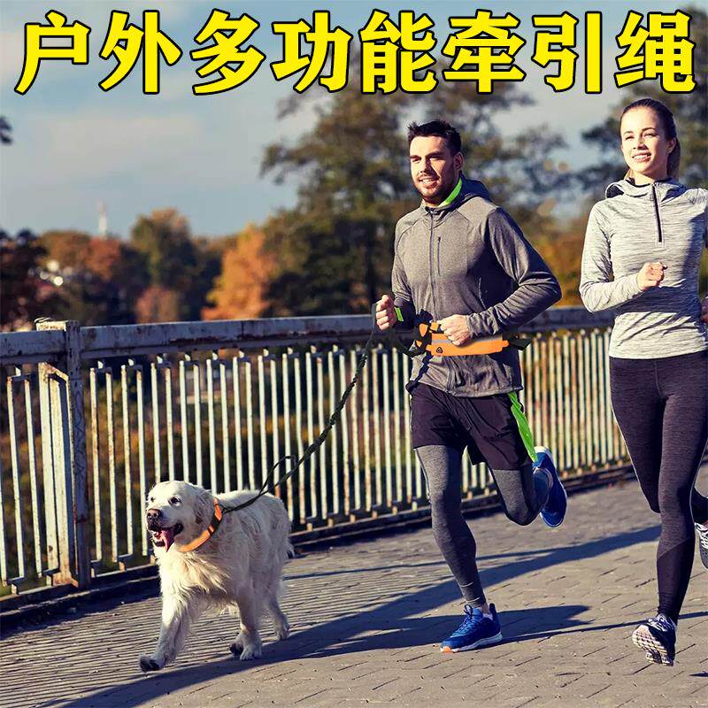 防爆冲户外运动跑步遛狗绳多功能可伸缩宠物腰包牵引绳反光弹力