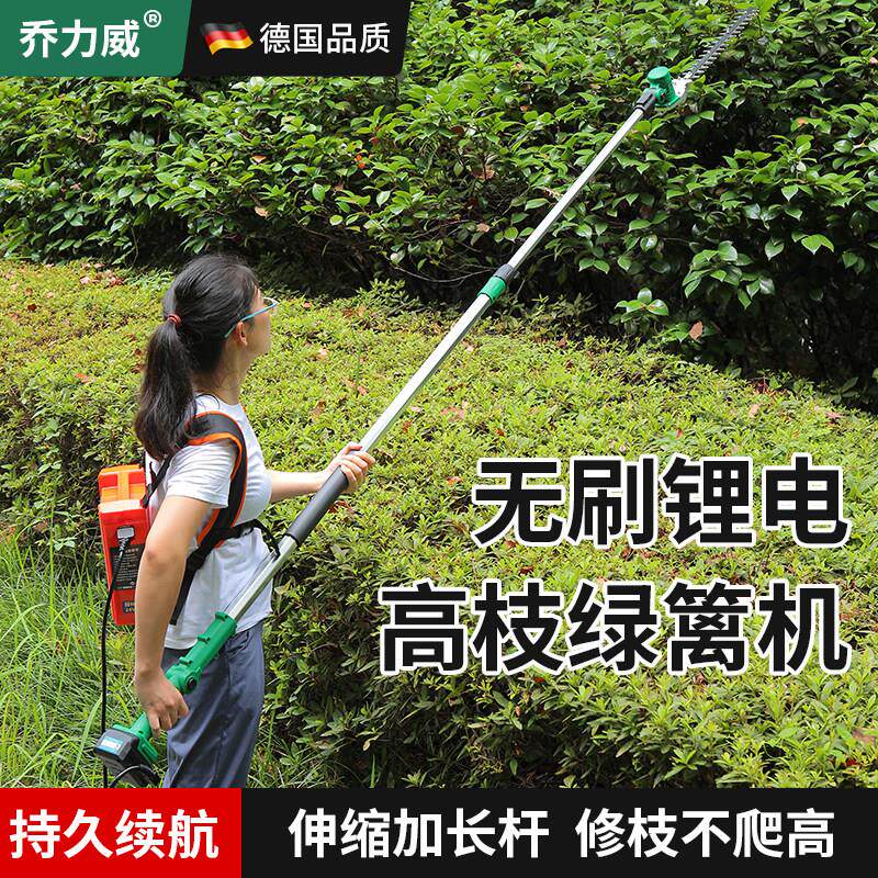高枝电动绿篱机锂电充电式高空长杆园林修枝绿化桂花树茶树修剪机