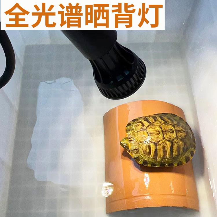 全光谱小乌龟晒背灯养龟缸专用晒龟灯爬宠uvb灯黄缘缸uva紫外线灯
