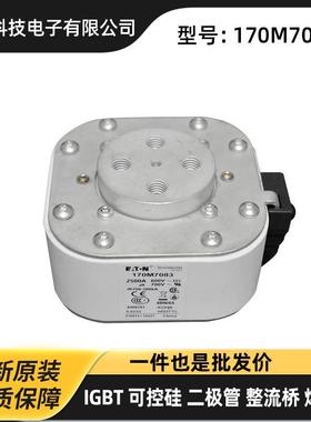 170M6743 170M6744 170M6745 170M6746保险丝 快速熔断器原装