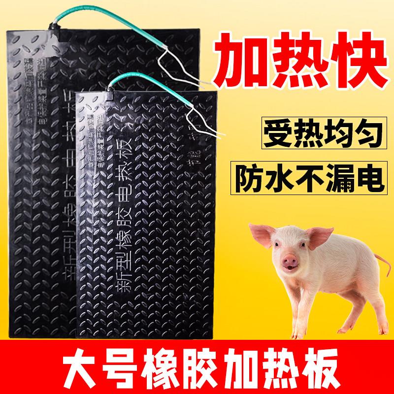电热板兽用橡胶仔猪小猪宠物保育养殖场防滑加热保温垫母猪产床板图片