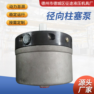 超高压径向柱塞泵0-150MPA工厂供应小型低噪音大流量RK系列柱塞泵