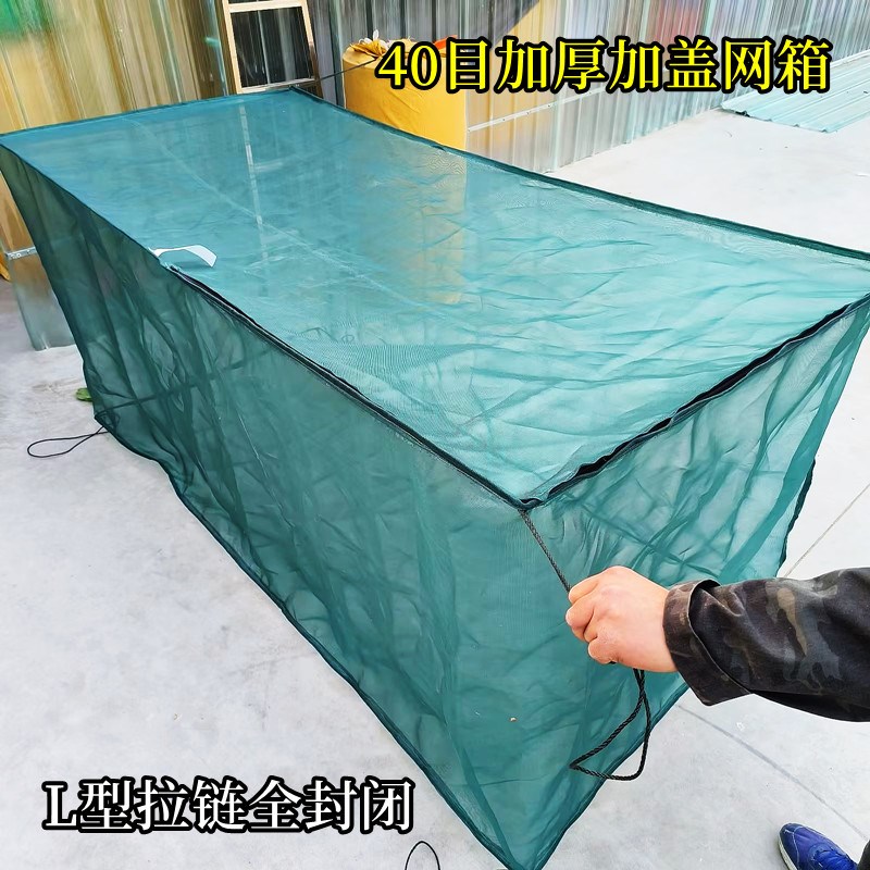 目加盖养殖网 鱼笼黄鳝泥鳅龙虾网箱 虾笼幼苗养鱼工具折叠