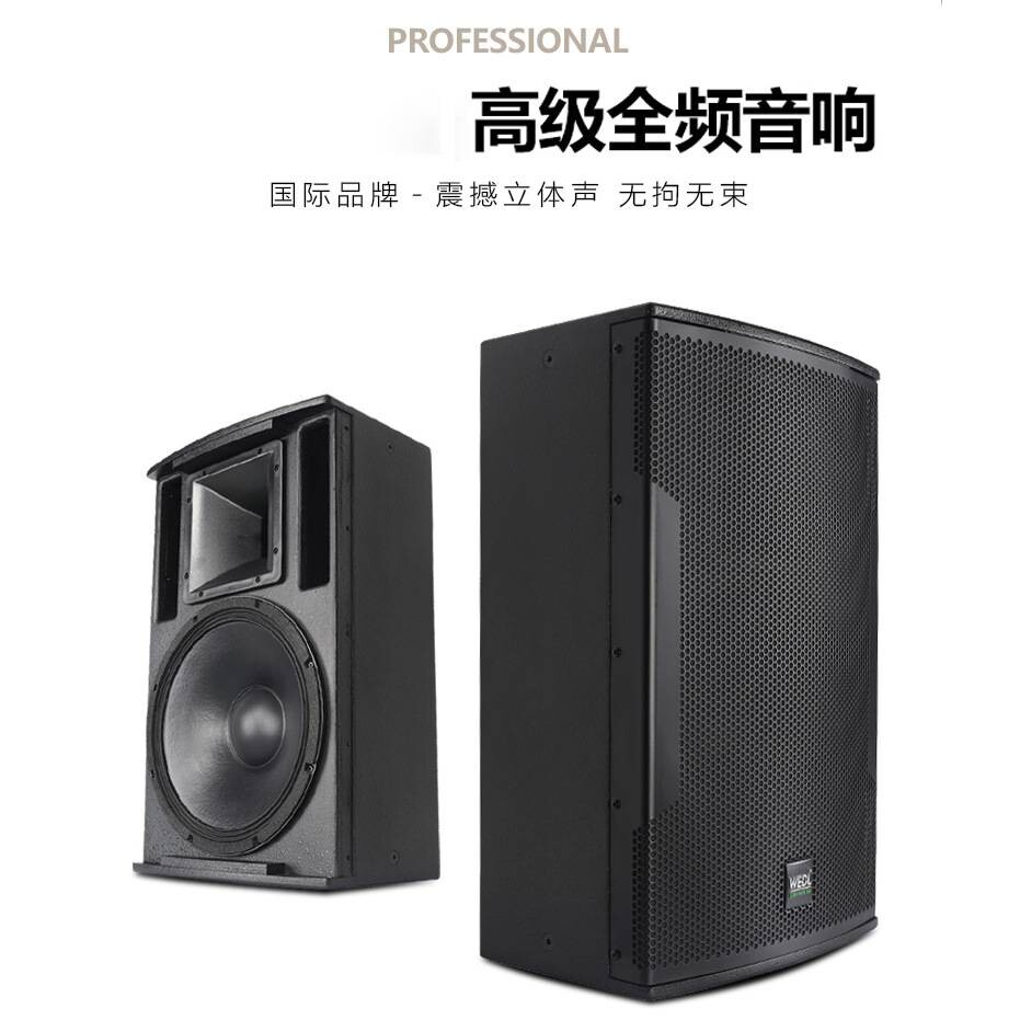 WEDL威狄龙 专业派对房打碟专用音箱 KTV包房别墅娱乐大功率音响