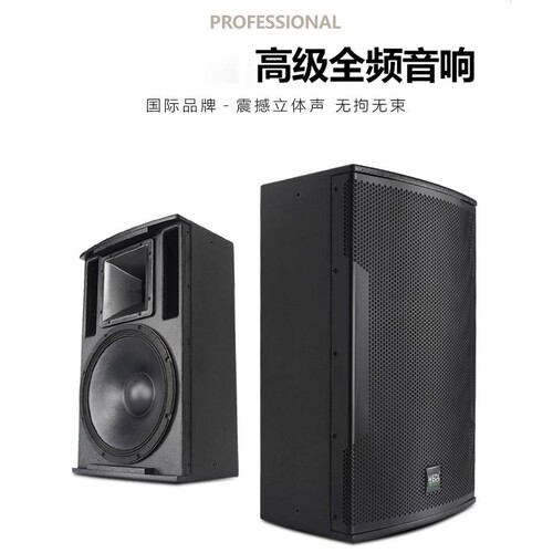 WEDL威狄龙 专业派对房打碟专用音箱 KTV包房别墅娱乐大功率音响