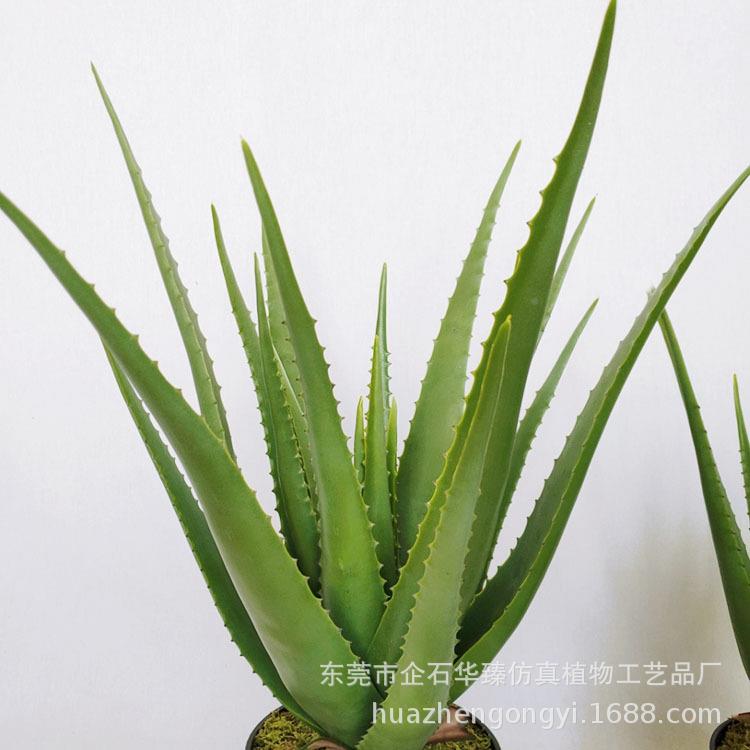 仿真肉植物芦荟盆栽HZYX010家居办公室室内软装盆栽装室饰内造景