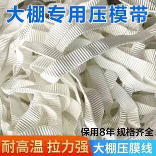 温棚003室大棚压膜压带高强度膜线白涤纶压绳大蔬菜专用压膜膜带