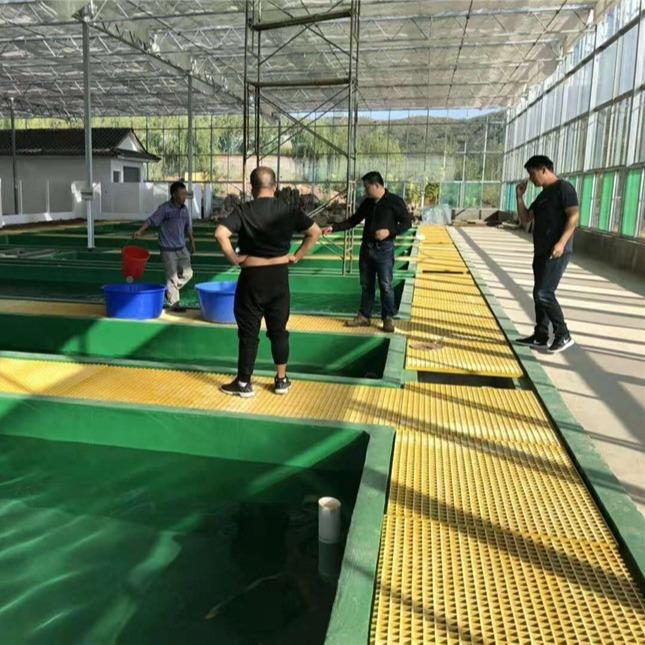 钢玻璃格栅板养殖舍漏粪板KLM光伏走道运维水板排鸽沟盖板生产厂