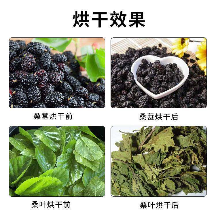 小型桑葚烘干锈家用不叶钢箱式干燥设备电加热桑椹子机无品牌/桑